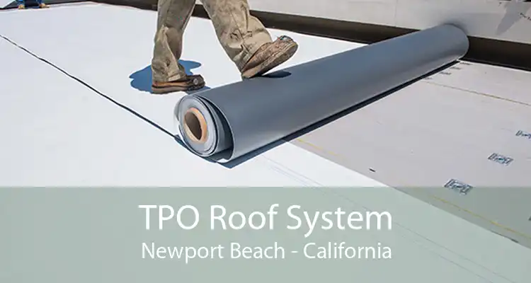 TPO Roof System Newport Beach - California