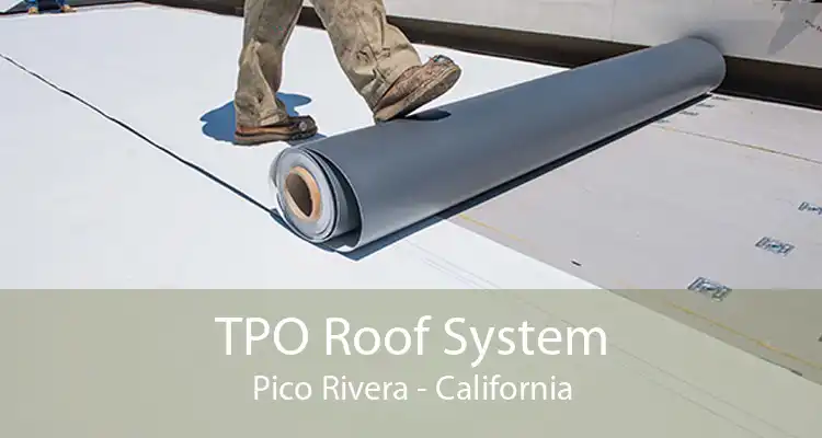 TPO Roof System Pico Rivera - California