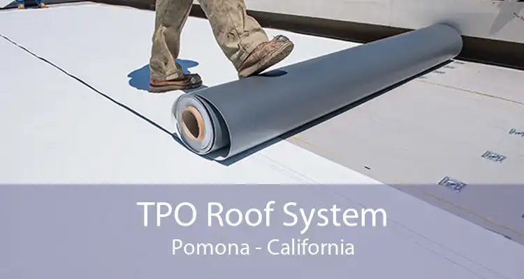 TPO Roof System Pomona - California
