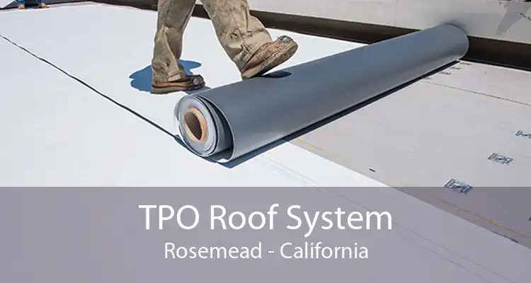 TPO Roof System Rosemead - California