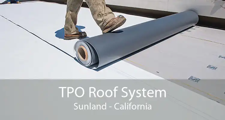 TPO Roof System Sunland - California