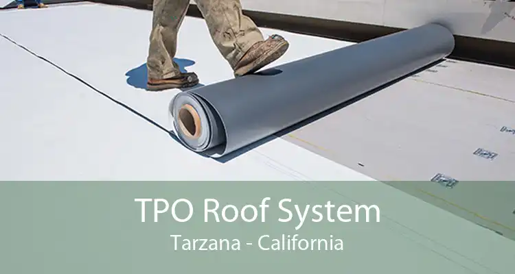 TPO Roof System Tarzana - California