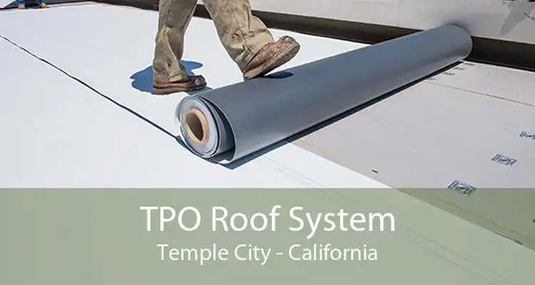 TPO Roof System Temple City - California