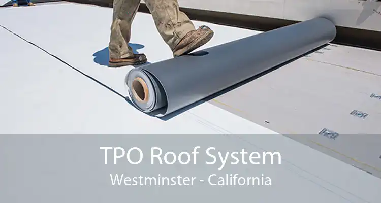 TPO Roof System Westminster - California