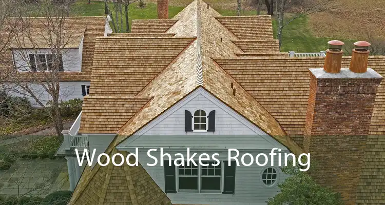 Wood Shakes Roofing 
