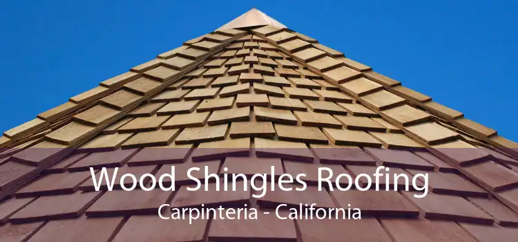 Wood Shingles Roofing Carpinteria - California