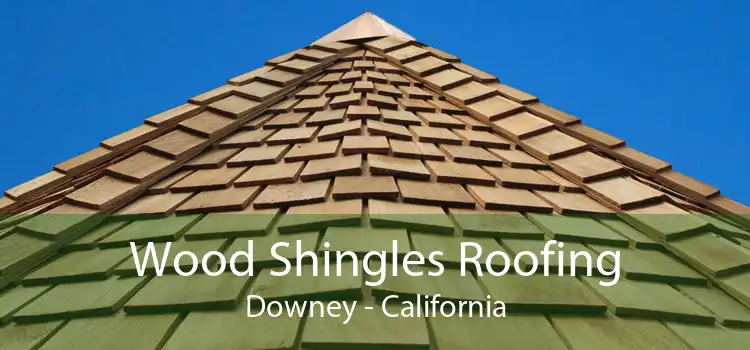 Wood Shingles Roofing Downey - California