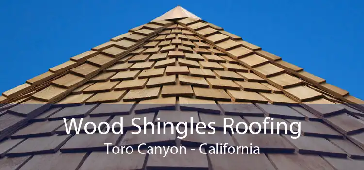 Wood Shingles Roofing Toro Canyon - California